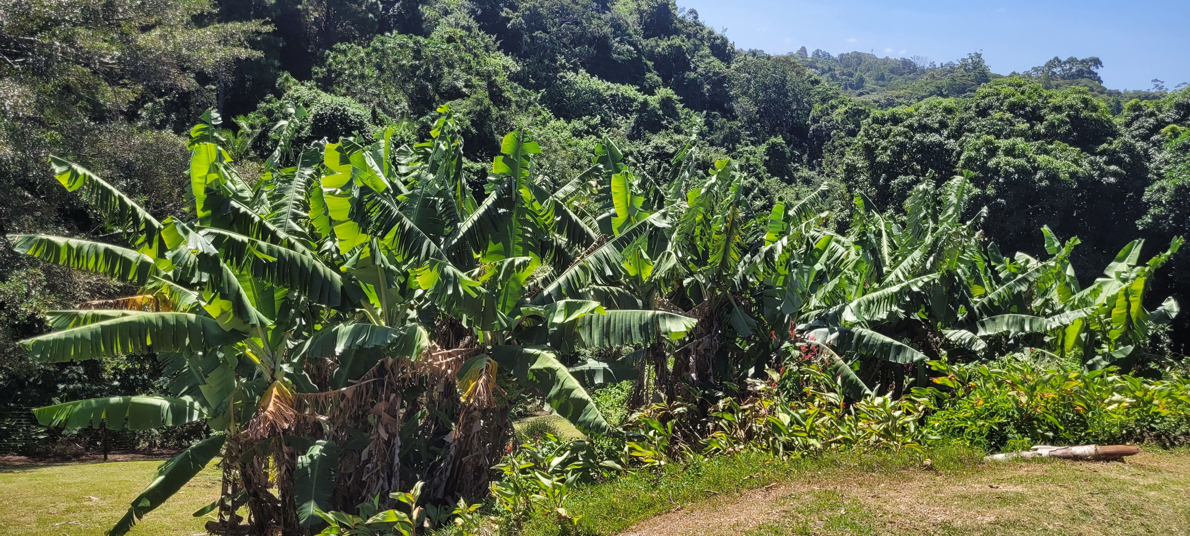 Resort Accommodation